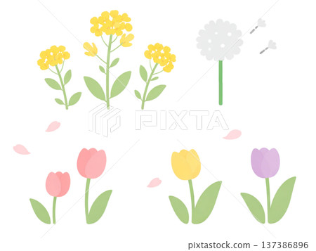 可愛的春花插畫素材 137386896