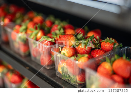 Red organic strawberries grown at smart farm packed in plastic boxes displayed on shelf in storage. Red organic strawberries grown at smart farm packed in plastic boxes displayed on shelf in storage. 137387235