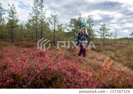 Woman hiker walk across clearing with red blueberry bushes in autumn bogland, solo travel in nature 137387329