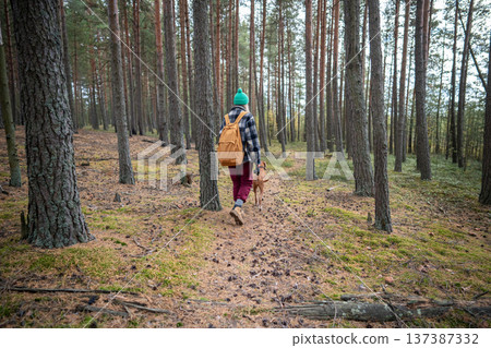 Woman walking with Vizsla dog on leash in autumn pine forest on path surrounded green moss rear view Woman walking with Vizsla dog on leash in autumn pine forest on path surrounded green moss rear view 137387332