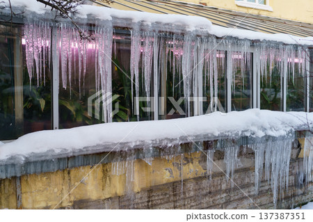 Old greenhouse building with icicles hanging down from roof during freeze and thaw cycles in winter 137387351