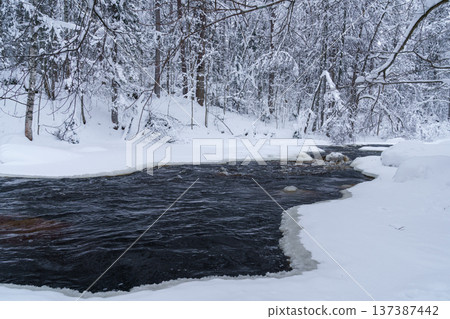 Non-freezing running river in snowy forest on gloomy cold winter day 137387442