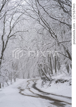 Snowy driveway. Mountain road in Europe trees covered by snow. Winter forest after snowfall 137387443
