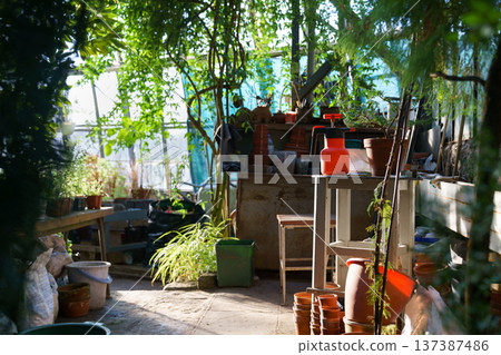 Tools for growing, planting, cultivating plants in old greenhouse. Workplace of florist or botanist 137387486