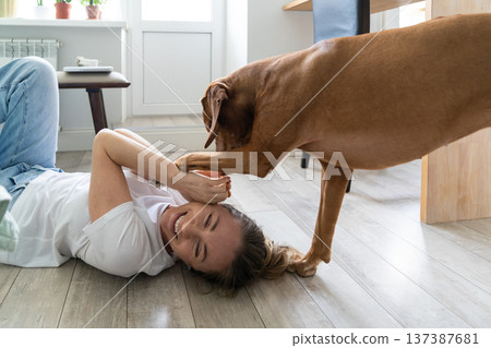 Happy woman owner playing with her lovely Vizsla dog, hugging, kissing, lying on the floor at home Happy woman owner playing with her lovely Vizsla dog, hugging, kissing, lying on the floor at home 137387681