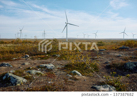 A field with windmills, turbine, extraction of clean electricity, colourful arctic carpet of moss, yagel, sunset, Tundra at autumn, tundra near the town of Teriberka in Russia, Murmansk region A field with windmills, turbine, extraction of clean electricity, colourful arctic carpet of moss, yagel, sunset, Tundra at autumn, tundra near the town of Teriberka in Russia, Murmansk region 137387682