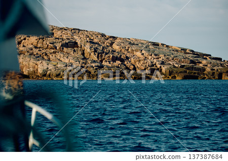 the coast of the Barents Sea at sunny weather, the rocky shore with colourful arctic carpet of moss, yagel, Tundra at autumn the coast of the Barents Sea at sunny weather, the rocky shore with colourful arctic carpet of moss, yagel, Tundra at autumn 137387684