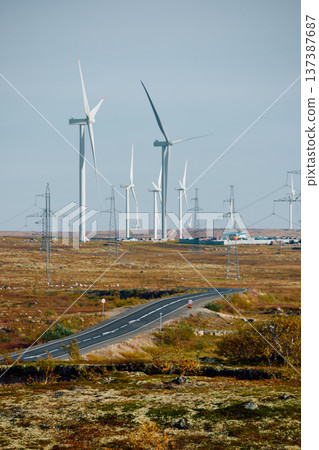 A field with windmills, turbine, extraction of clean electricity, colourful arctic carpet of moss, yagel, sunset, Tundra at autumn, tundra near the town of Teriberka in Russia, Murmansk region A field with windmills, turbine, extraction of clean electricity, colourful arctic carpet of moss, yagel, sunset, Tundra at autumn, tundra near the town of Teriberka in Russia, Murmansk region 137387687