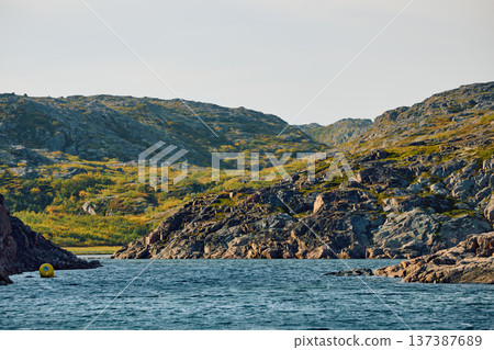 the coast of the Barents Sea at sunny weather, the rocky shore with colourful arctic carpet of moss, yagel, Tundra at autumn 137387689
