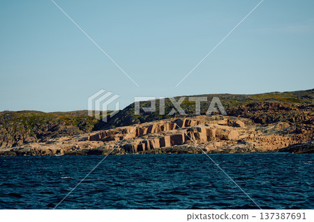 the coast of the Barents Sea at sunny weather, the rocky shore with colourful arctic carpet of moss, yagel, Tundra at autumn the coast of the Barents Sea at sunny weather, the rocky shore with colourful arctic carpet of moss, yagel, Tundra at autumn 137387691