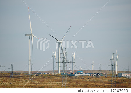 A field with windmills, turbine, extraction of clean electricity, colourful arctic carpet of moss, yagel, sunset, Tundra at autumn, tundra near the town of Teriberka in Russia, Murmansk region A field with windmills, turbine, extraction of clean electricity, colourful arctic carpet of moss, yagel, sunset, Tundra at autumn, tundra near the town of Teriberka in Russia, Murmansk region 137387693