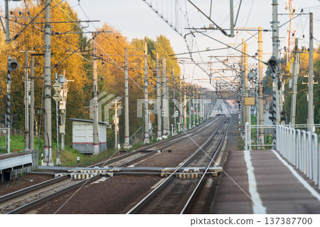 Train station with railway tracks, autumn season. Perspective of electrified high-speed railroad Train station with railway tracks, autumn season. Perspective of electrified high-speed railroad 137387700