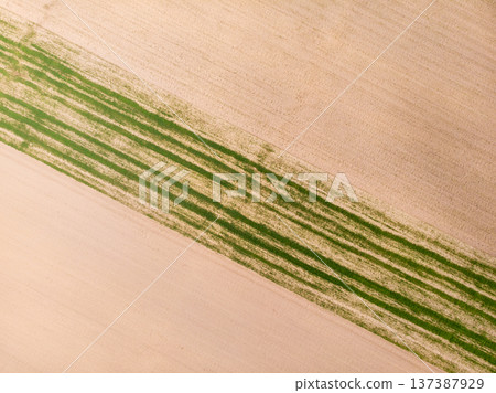 Top down view. Crop agricultural fields. Top down view. Crop agricultural fields. 137387929