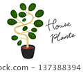 Houseplants and potted ficus benghalensis watercolor hand-drawn illustration 137388394