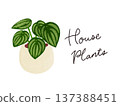 Houseplants and potted Peperomia sandersii watercolor hand-drawn illustration 137388451