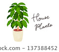Houseplants and potted coffee tree watercolor hand-drawn illustration 137388452
