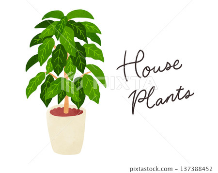 室內植物與盆栽咖啡樹水彩手繪插圖 室內植物與盆栽咖啡樹水彩手繪插圖 137388452