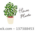 Houseplants and Benjamin Baroque potted plants, watercolor hand-drawn illustration 137388453