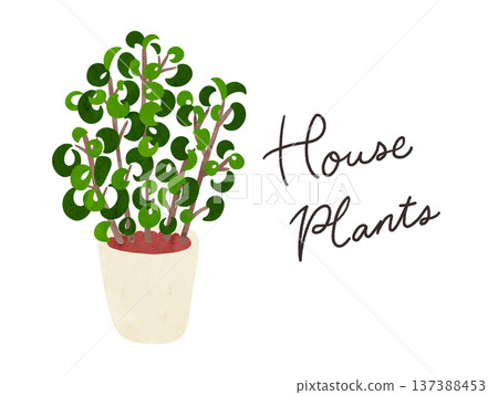 室內植物和本傑明·巴洛克風格的盆栽植物，水彩手繪插圖 137388453