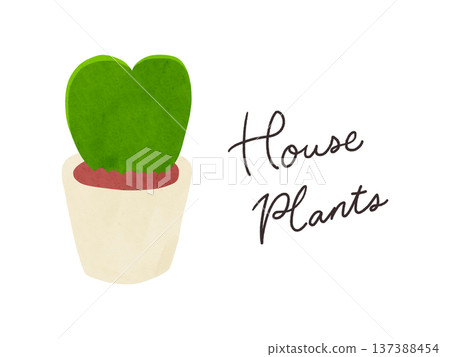 室內植物和盆栽球蘭捲曲水彩插圖 137388454