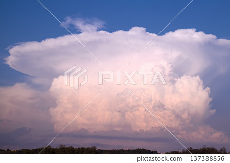 宇都宮市 - 雲朵和跳躍的捲雲 137388856