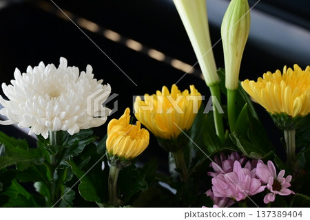 Beautiful chrysanthemum flowers offered in front of the Buddha Beautiful chrysanthemum flowers offered in front of the Buddha 137389404