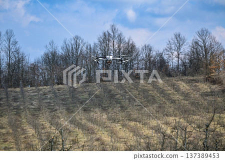 Agricultural drone spraying orchard after pruning for precision agriculture and crop protection 137389453