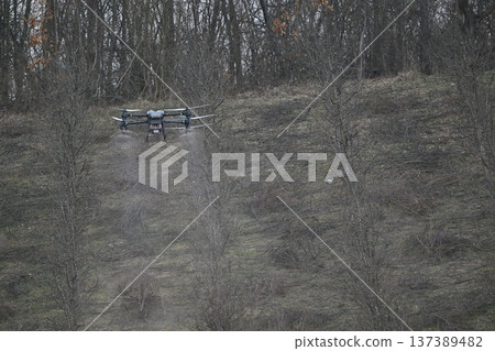 Agricultural drone spraying crop protection mist over pruned fruit trees in an orchard for precision farming 137389482