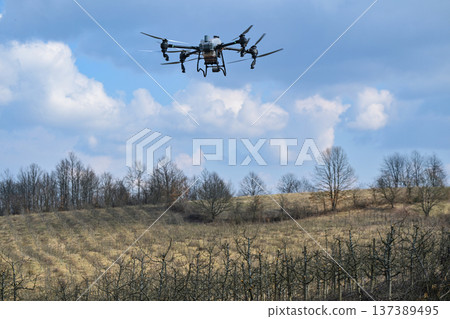 Agricultural drone spraying orchard after pruning for precision agriculture and crop protection Agricultural drone spraying orchard after pruning for precision agriculture and crop protection 137389495