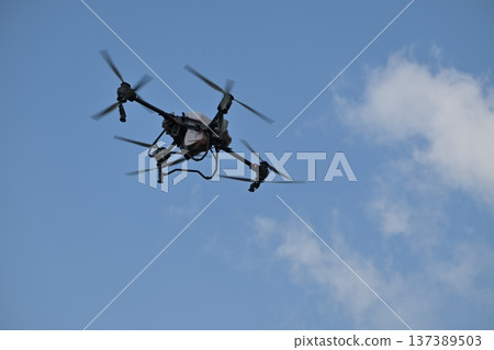 Agricultural drone spraying fruit trees after pruning in orchard for precision aerial crop protection 137389503