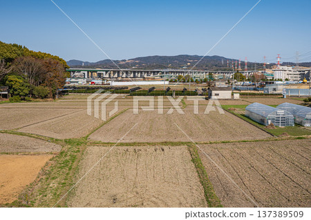 Spring rural scenery, Joyo City, Kyoto Prefecture 137389509