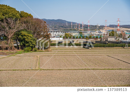 Spring rural scenery, Joyo City, Kyoto Prefecture 137389513