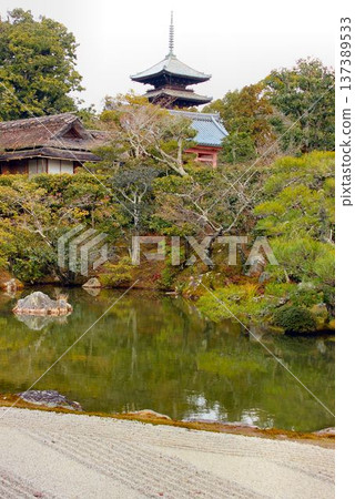 The garden of Kyoto 137389533