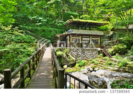 Nippara Cave - Scenery near the entrance (summer, June) 137389565