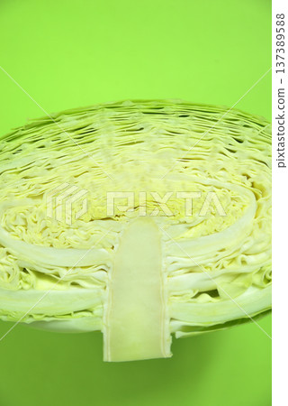 cabbage cabbage 137389588