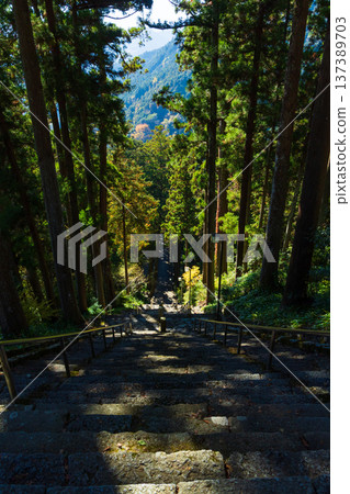 山梨縣身延町的秋天。身延山久遠寺的秋葉。 山梨縣身延町的秋天。身延山久遠寺的秋葉。 137389703