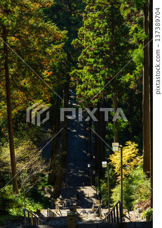 Autumn in Minobu Town, Yamanashi Prefecture. Autumn leaves at Kuonji Temple on Mount Minobu. 137389704