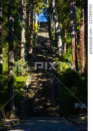Autumn in Minobu Town, Yamanashi Prefecture. Autumn leaves at Kuonji Temple on Mount Minobu. 137389705