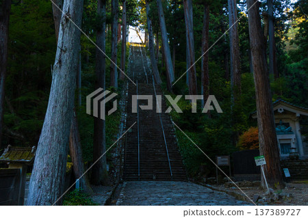 Autumn in Minobu Town, Yamanashi Prefecture. Autumn leaves at Kuonji Temple on Mount Minobu. Autumn in Minobu Town, Yamanashi Prefecture. Autumn leaves at Kuonji Temple on Mount Minobu. 137389727