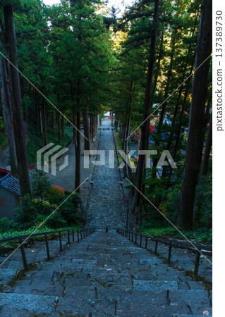 山梨縣身延町的秋天。身延山久遠寺的秋葉。 山梨縣身延町的秋天。身延山久遠寺的秋葉。 137389730