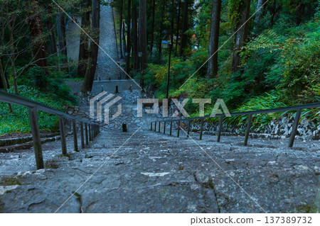 山梨縣身延町的秋景。身延山久遠寺的秋葉。菩提梯和一對母子鹿。 山梨縣身延町的秋景。身延山久遠寺的秋葉。菩提梯和一對母子鹿。 137389732