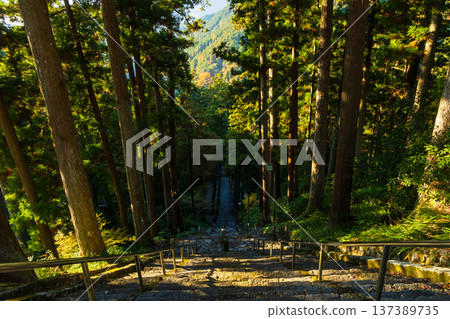 Autumn in Minobu Town, Yamanashi Prefecture. Autumn leaves at Kuonji Temple on Mount Minobu. Autumn in Minobu Town, Yamanashi Prefecture. Autumn leaves at Kuonji Temple on Mount Minobu. 137389735