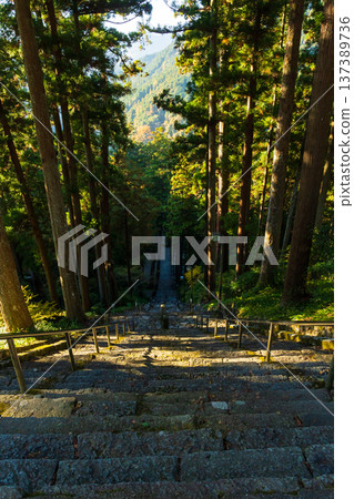 Autumn in Minobu Town, Yamanashi Prefecture. Autumn leaves at Kuonji Temple on Mount Minobu. Autumn in Minobu Town, Yamanashi Prefecture. Autumn leaves at Kuonji Temple on Mount Minobu. 137389736