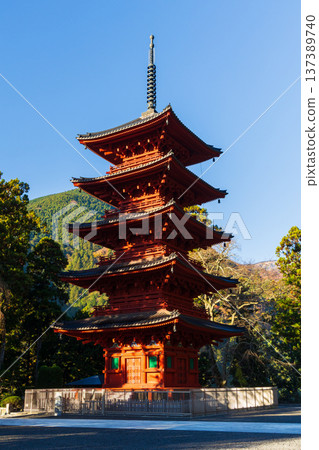 山梨縣身延町的秋天-身延山久遠寺的秋葉-五重塔 山梨縣身延町的秋天-身延山久遠寺的秋葉-五重塔 137389740