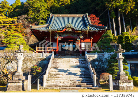 山梨縣身延町的秋天-身延山久遠寺禮拜堂的秋葉 山梨縣身延町的秋天-身延山久遠寺禮拜堂的秋葉 137389742