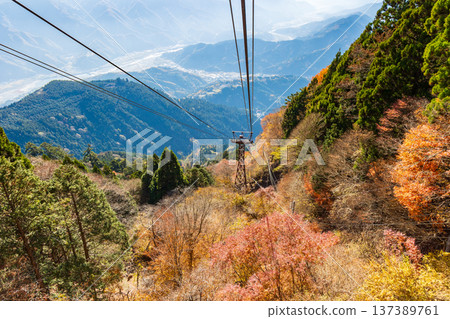 Autumn in Minobu Town, Yamanashi Prefecture - Autumn leaves on the Minobu Mountain Ropeway Autumn in Minobu Town, Yamanashi Prefecture - Autumn leaves on the Minobu Mountain Ropeway 137389761