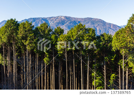 山梨縣身延町的秋景。身延山的秋葉。從七面山展望台眺望。 137389765
