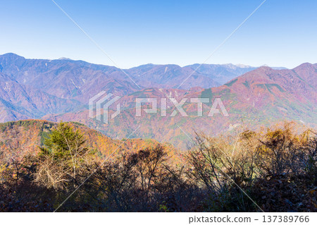 山梨縣身延町的秋天-身延山的秋葉-從北展望台眺望 山梨縣身延町的秋天-身延山的秋葉-從北展望台眺望 137389766