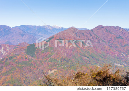 山梨縣身延町的秋天-身延山的秋葉-從北展望台眺望 山梨縣身延町的秋天-身延山的秋葉-從北展望台眺望 137389767