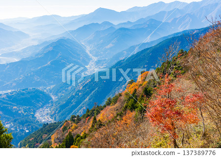 山梨縣身延町的秋天-身延山的秋葉-從南展望台眺望 山梨縣身延町的秋天-身延山的秋葉-從南展望台眺望 137389776